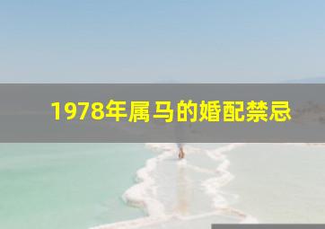 1978年属马的婚配禁忌