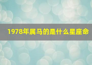 1978年属马的是什么星座命