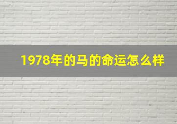 1978年的马的命运怎么样