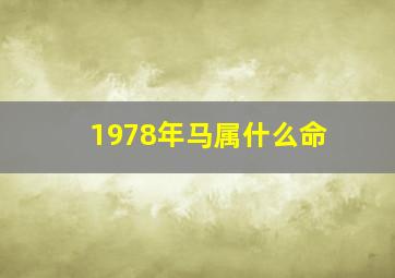 1978年马属什么命