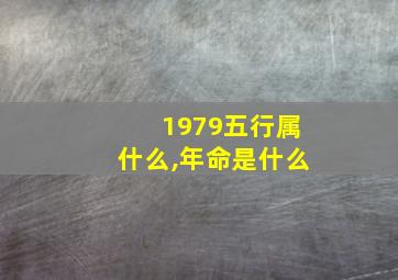 1979五行属什么,年命是什么