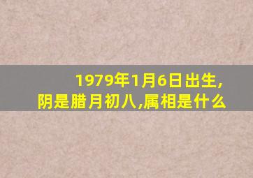 1979年1月6日出生,阴是腊月初八,属相是什么