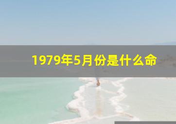 1979年5月份是什么命