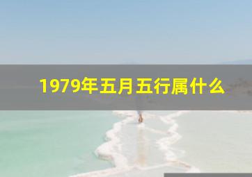 1979年五月五行属什么