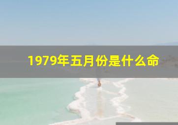 1979年五月份是什么命