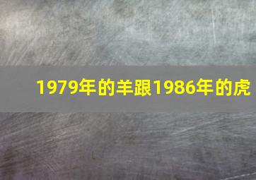 1979年的羊跟1986年的虎