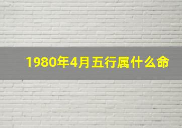 1980年4月五行属什么命