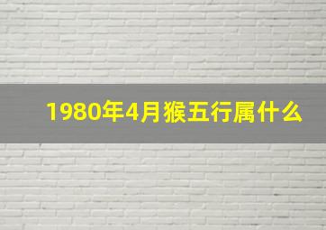 1980年4月猴五行属什么