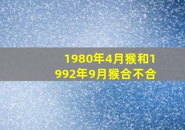 1980年4月猴和1992年9月猴合不合