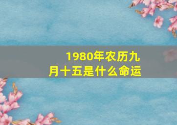 1980年农历九月十五是什么命运