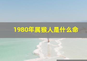 1980年属猴人是什么命