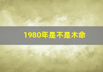 1980年是不是木命