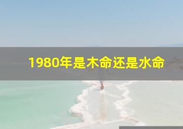 1980年是木命还是水命