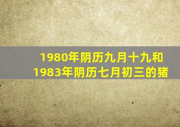 1980年阴历九月十九和1983年阴历七月初三的猪