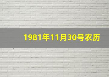 1981年11月30号农历