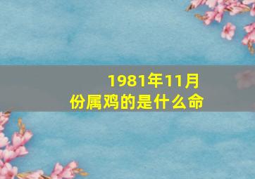 1981年11月份属鸡的是什么命