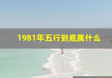 1981年五行到底属什么