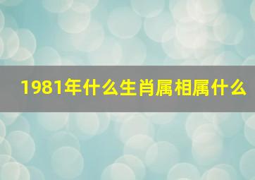 1981年什么生肖属相属什么