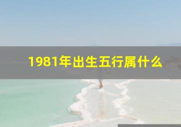 1981年出生五行属什么