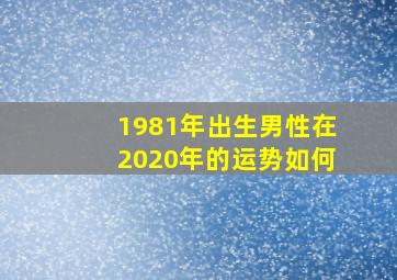 1981年出生男性在2020年的运势如何