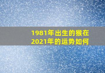 1981年出生的猴在2021年的运势如何