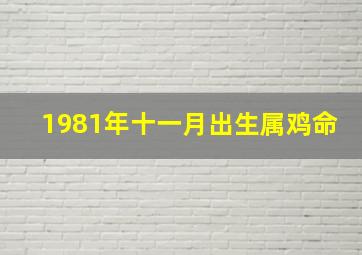 1981年十一月出生属鸡命