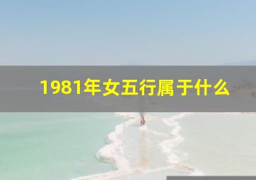 1981年女五行属于什么