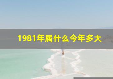 1981年属什么今年多大