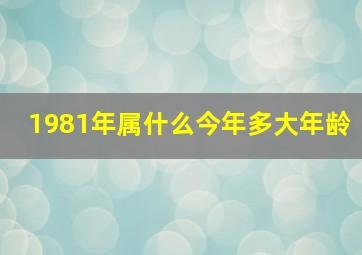 1981年属什么今年多大年龄