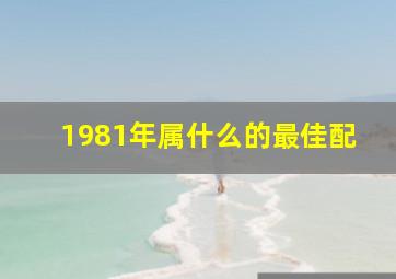 1981年属什么的最佳配