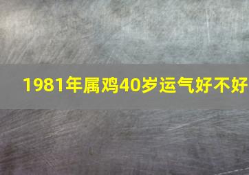 1981年属鸡40岁运气好不好