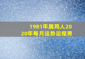 1981年属鸡人2020年每月运势运程男