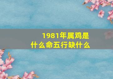 1981年属鸡是什么命五行缺什么