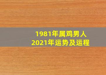 1981年属鸡男人2021年运势及运程