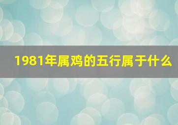 1981年属鸡的五行属于什么