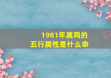 1981年属鸡的五行属性是什么命