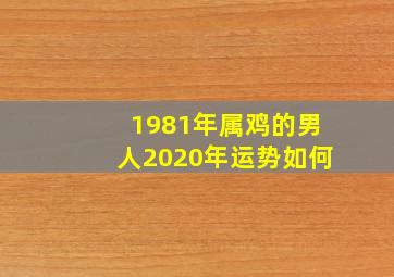 1981年属鸡的男人2020年运势如何