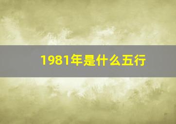 1981年是什么五行