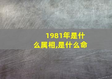 1981年是什么属相,是什么命