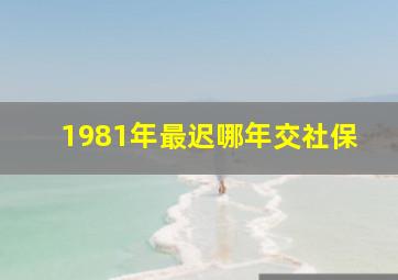 1981年最迟哪年交社保