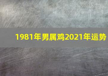 1981年男属鸡2021年运势