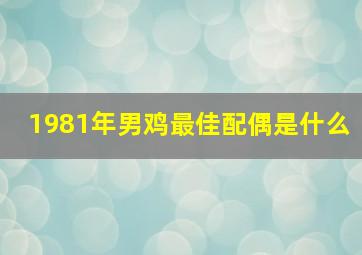 1981年男鸡最佳配偶是什么