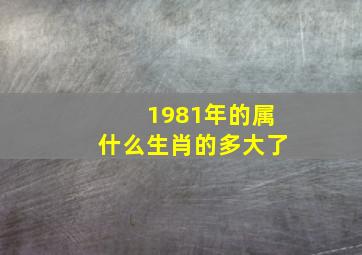 1981年的属什么生肖的多大了