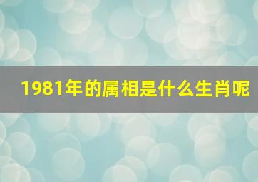 1981年的属相是什么生肖呢