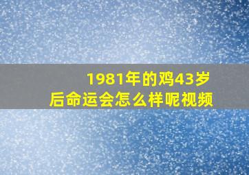 1981年的鸡43岁后命运会怎么样呢视频