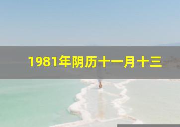 1981年阴历十一月十三