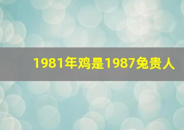 1981年鸡是1987兔贵人