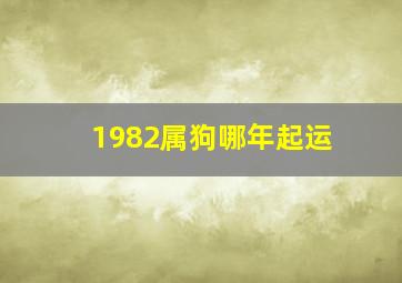 1982属狗哪年起运