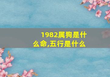 1982属狗是什么命,五行是什么