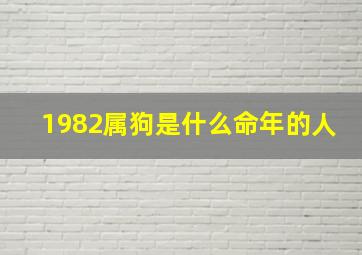 1982属狗是什么命年的人